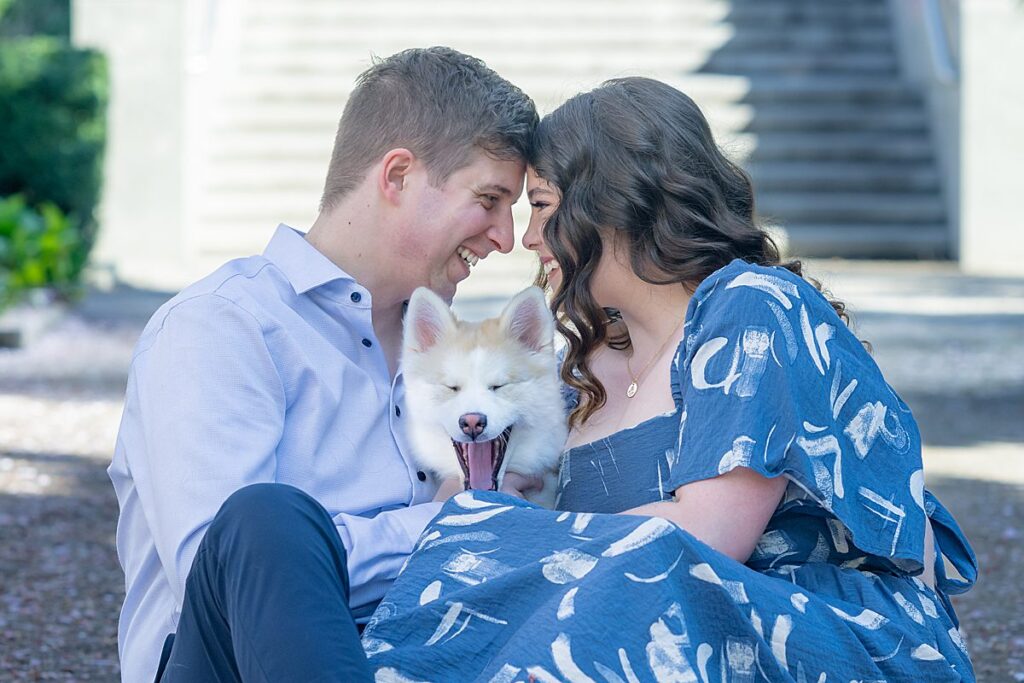 engagement with puppy spring