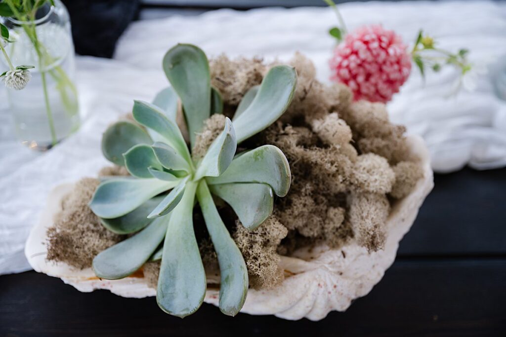 beach wedding details