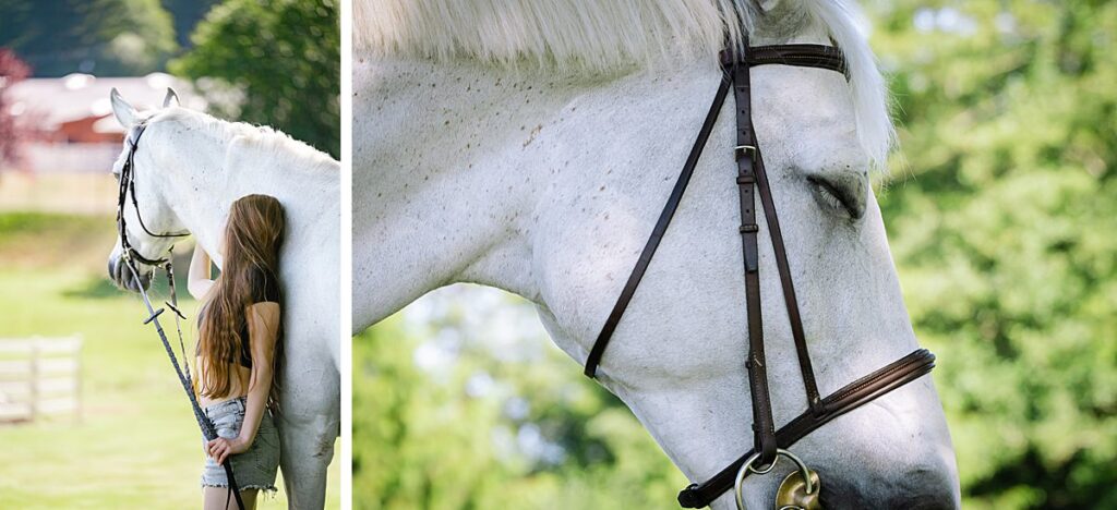 Snohomish horse farm high school senior with white horse