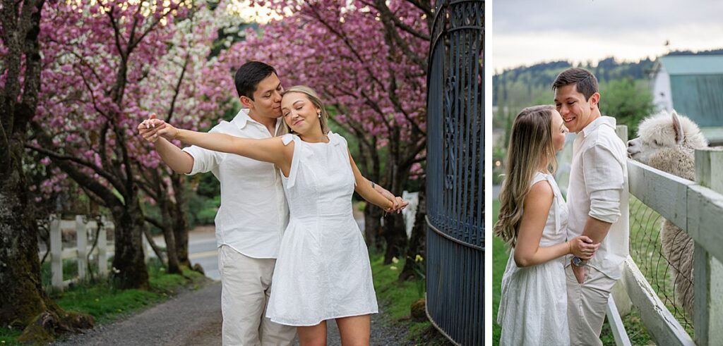chateau lill cherry blossom engagement couple spring