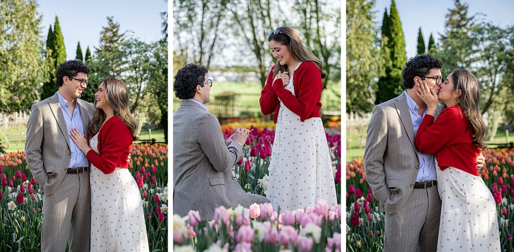 spring proposal skagit valley washington tulip festival
