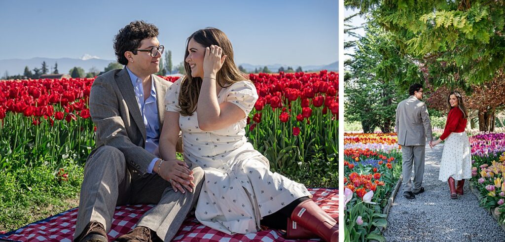 colorful tulips spring proposal